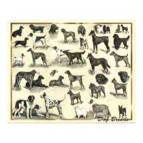 Hounds - Dog Breeds- Hunds Print