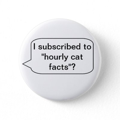 hourly cat facts button from zazzle cat facts 400x400