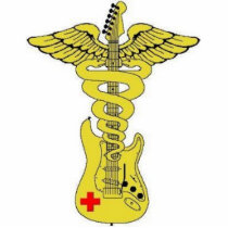 House Call guitar caduceus photo sculptures by housecallband House Call guitar caduceus photo sculptures