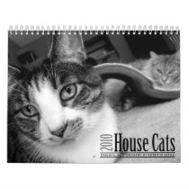 House Cats 2010 Calendar