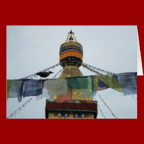 House Crow at Prayers Bodha Stupa, Nepal cards by Wonderlane House Crow at Prayers Bodha Stupa, Nepal cards