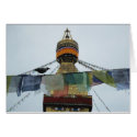 House Crow at Prayers Bodha Stupa, Nepal cards by Wonderlane House Crow at Prayers Bodha Stupa, Nepal cards
