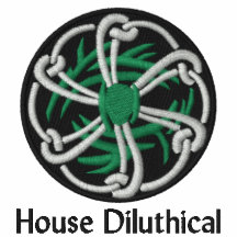 House Diluthical Embroidered Shirt 1