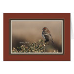House_finch_2457 Card