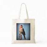 House Finch bags
