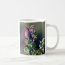 House Finch Coffee Mugs