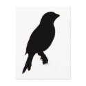 House Finch silhouette Postcard