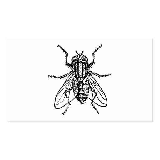 House Fly Business Card (front side)