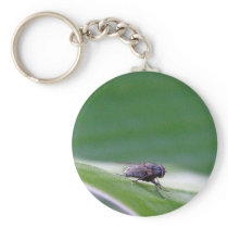 House Fly On A Banana Leaf Key Chain