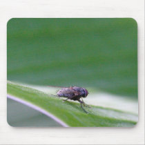 House Fly On A Banana Leaf Mouse Pads