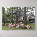 house in spring posters
