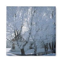 House in Winter magnets