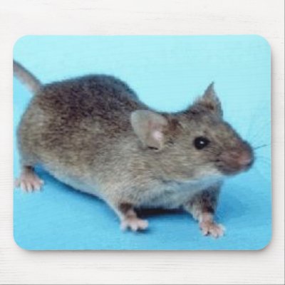 House mouse mouse pads by cooldudeproducts