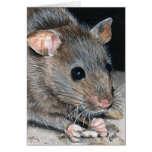 House Mouse Painting Note Card cards