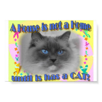 House not Home posters