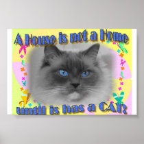 House not Home Posters
