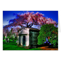 House of Color Note Card