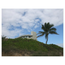 House on Hill with sky and palm tree in Florida Full Color Flyer