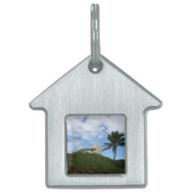 House on Hill with sky and palm tree in Florida Pet Tags