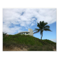 House on Hill with sky and palm tree in Florida Photo Print
