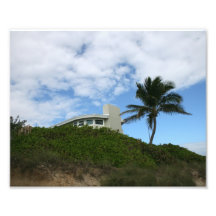 House on Hill with sky and palm tree in Florida Photo Print