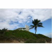 House on Hill with sky and palm tree in Florida Photo Sculptures