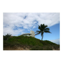 House on Hill with sky and palm tree in Florida Poster