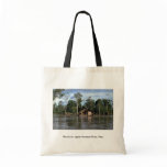 House on upper Amazon River, Peru Bags