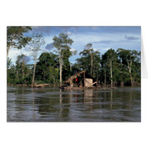 House on upper Amazon River, Peru Greeting Cards