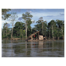House on upper Amazon River, Peru Full Color Flyer