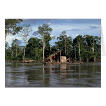 House on upper Amazon River, Peru Greeting Cards