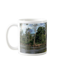 House on upper Amazon River, Peru Coffee Mugs