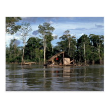 House on upper Amazon River, Peru Post Cards