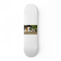 house skateboard
