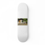 house skateboard