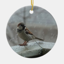 House Sparrow Double Sided Round Ornament ornaments