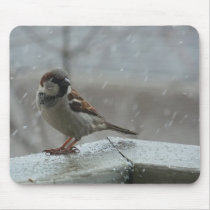 House Sparrow Horizontal Mousepad mousepads