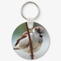 house-sparrow-male keychains