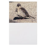 House Sparrow Mood Photograph Stationery