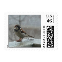 House Sparrow Small Stamp stamps