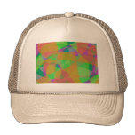 House Wall hats