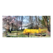 House With Magnolias and Forsythia Custom Rack Card