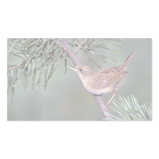 House Wren Business Card Templates (back side)