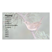 House Wren business cards