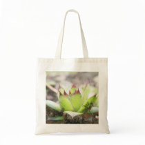 Houseleek - Sempervivum Tote Bags
