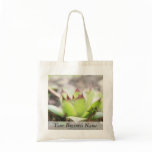 Houseleek - Sempervivum Canvas Bags