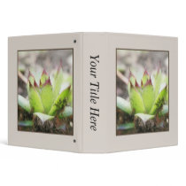 Houseleek - Sempervivum 3 Ring Binder