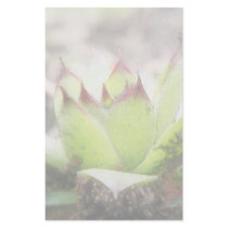 Houseleek - Sempervivum Personalized Stationery