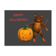Housemouse with Pumpkin postcard
