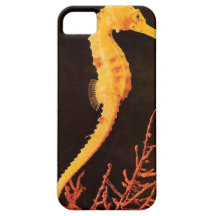 Housing iPhone 5 model sea horse iPhone 5 Case